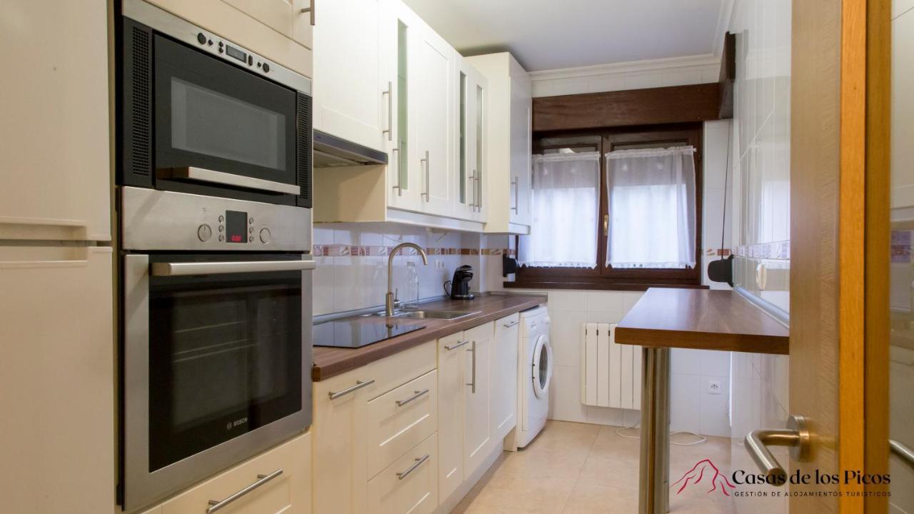Apartamento El Soplao - Casas De Los Picos Celis エクステリア 写真